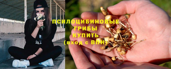 бутират Арсеньев