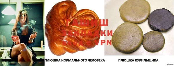 шишки Медногорск