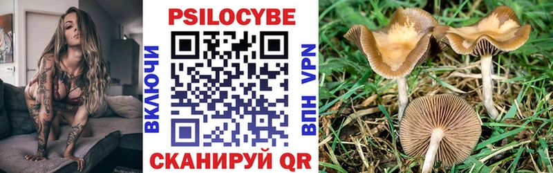 Галлюциногенные грибы MAGIC MUSHROOMS  цены наркотик  блэк спрут зеркало  Певек 